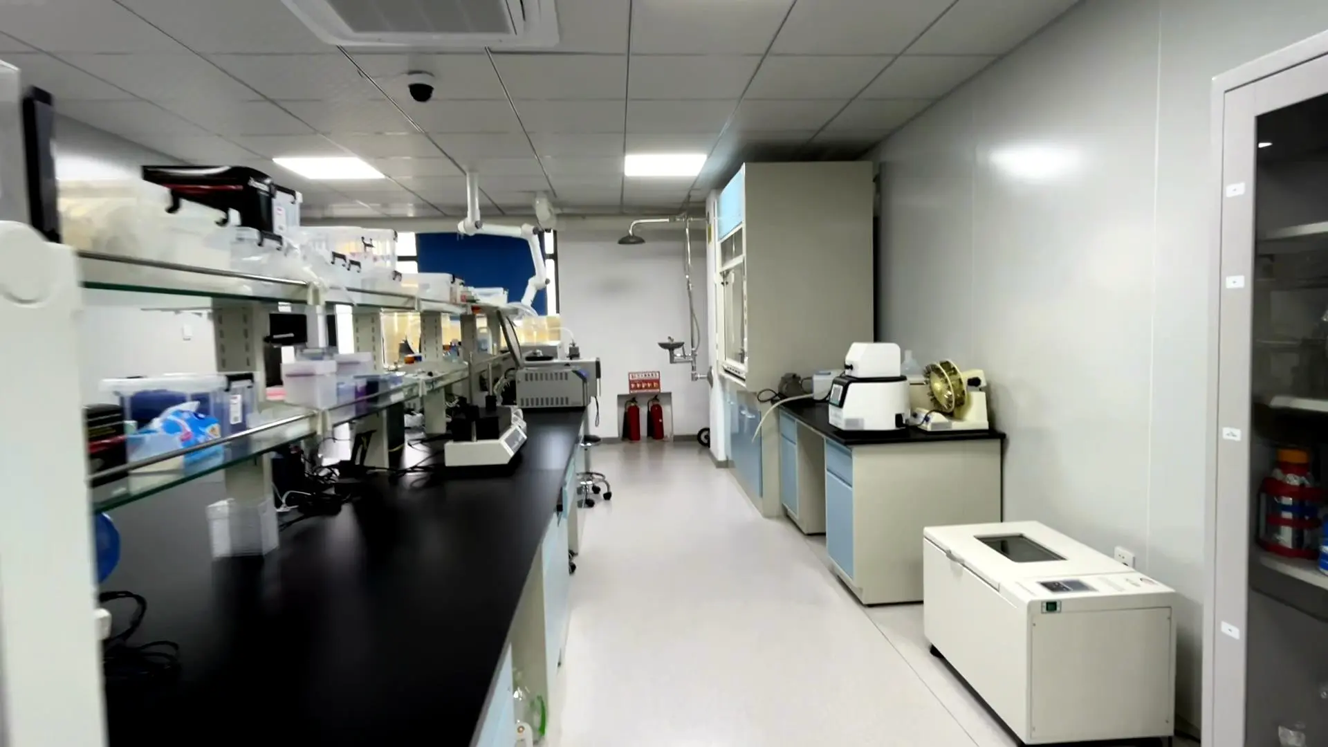 ZM LASHE SERUM Laboratory factory (10)
